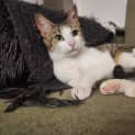 Photo of Lucy