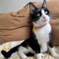 Photo of Jasmine