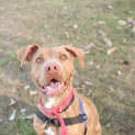 Photo of Molly