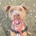 Photo of Molly