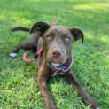 Photo of Lulu