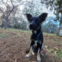 Photo of Tucker