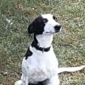 Photo of Chase