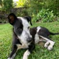 Photo of Ella