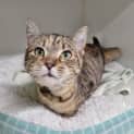 Photo of Miracle