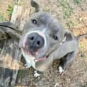 Photo of Charlee