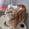 Photo of Meg