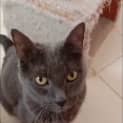 Photo of Lilly