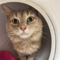 Photo of Sheldon