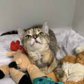 Photo of Miracle