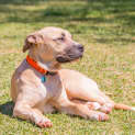 Photo of Jonty