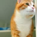 Photo of Alfonso 