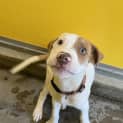 Photo of Conner