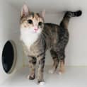 Photo of Maeve   Located In Preston
