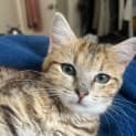 Photo of Eva