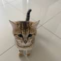Photo of Eva