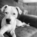 Photo of Bella Aka Stella 