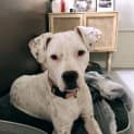 Photo of Bella Aka Stella 