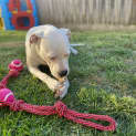Photo of Bella Aka Stella 