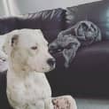 Photo of Bella Aka Stella 