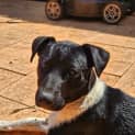 Photo of Candy