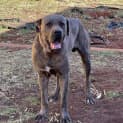 Photo of Major