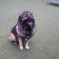 Photo of Tori