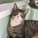 Photo of Squirt