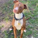 Photo of Cocomelon