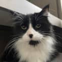 Photo of Peaches