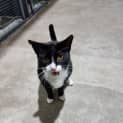 Photo of Archie