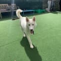 Photo of Ghost