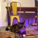 Photo of Phil (Was Timothy)