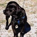 Photo of Mannie Boy
