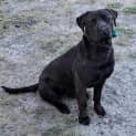 Photo of Mannie Boy