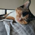 Photo of Chloe