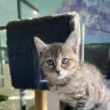 Photo of Smitten