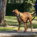 Photo of Doc