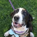 Photo of Cash
