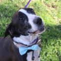Photo of Cash