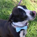 Photo of Cash