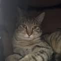 Photo of Rupert