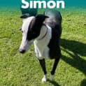 Photo of Simon