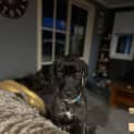 Photo of Bonnie