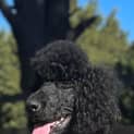 Photo of Chloe