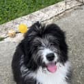 Photo of Bella