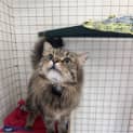 Photo of Mabel