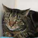Photo of Hamish
