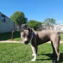Photo of Livia