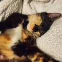 Photo of Nancy
